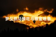 梦见抓马蜂吃马蜂蜜啥意思-梦见逮住了一只大马蜂