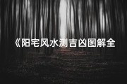 《阳宅风水测吉凶图解全攻略》