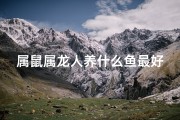 属鼠属龙人养什么鱼最好;属鼠的人养什么鱼好