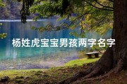 杨姓虎宝宝男孩两字名字大全