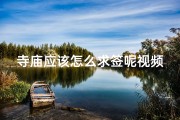 寺庙应该怎么求签呢视频-寺庙应该怎么求签呢视频讲解