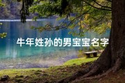 牛年姓孙的男宝宝名字