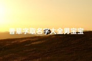 曹辈字取名字大全男宝宝(睿字取名动听带睿字男孩名字)