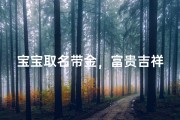 宝宝取名带金，富贵吉祥的好名字推荐