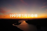 1993年3月11命格(1993年3月11：命运转折的神奇日)