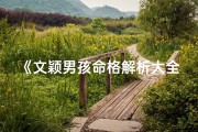 《文颖男孩命格解析大全：智慧星辉照耀人生》