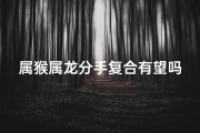 属猴属龙分手复合有望吗？