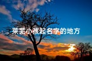 莱芜小孩起名字的地方