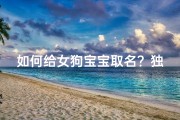 如何给女狗宝宝取名？独具匠心地为你的小狗起一个美好的名字