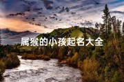 属猴的小孩起名大全