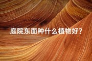 庭院东面种什么植物好？-庭院东边种树风水讲究多