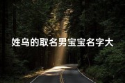 姓乌的取名男宝宝名字大全,《乌氏家族添新丁，吉祥宝宝取名大揭秘》