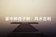 家中种杏子树：风水吉利好运来