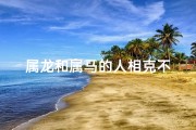 属龙和属马的人相克不