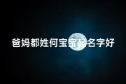 爸妈都姓何宝宝起名字好吗-《何家双宝：爸妈同姓何宝宝名字大揭秘》