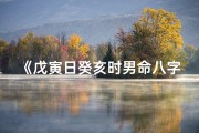 《戊寅日癸亥时男命八字解析》