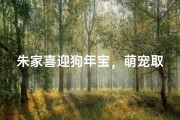 朱家喜迎狗年宝，萌宠取名寓意长