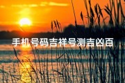 手机号码吉祥号测吉凶百度Al_手机号吉祥号码测算