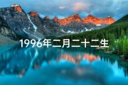 1996年二月二十二生辰八字、96年2月22日命格：揭秘独特命运之谜
