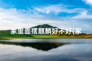 家里面摆麒麟好不好(家中摆放麒麟风水宜忌解析)