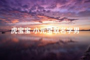 虎宝宝 小元宝取名字男孩(虎宝宝小元宝，寓意吉祥的男孩名字揭晓)