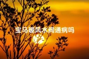 宝马暖风水阀通病吗