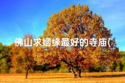 佛山求姻缘最好的寺庙(佛山求姻缘圣地：最佳寺庙揭秘)