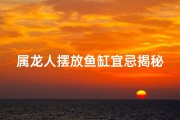 属龙人摆放鱼缸宜忌揭秘