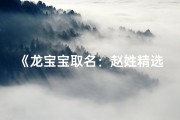 《龙宝宝取名：赵姓精选两字大全，寓意吉祥》