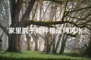 家里院子能种榴莲吗风水、院子风水揭秘：种榴莲真的旺家吗？