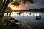 属龙和属牛做兄弟怎样化解