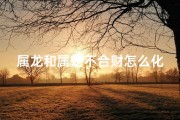 属龙和属蛇不合财怎么化解_属龙和属蛇不合财怎么化解相冲