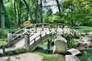 太空是风水鱼吗
