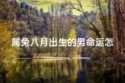 属兔八月出生的男命运怎么样(《兔年男宝宝8月出生取名大全精选》)