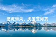 德虎雄风，虎宝宝男孩 naming ideas