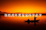 张姓虎年男宝宝梓字名字