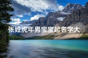 张姓虎年男宝宝起名字大全