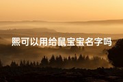 熙可以用给鼠宝宝名字吗—《兔宝宝起名巧用熙字，寓意吉祥美好》