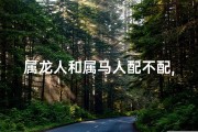 属龙人和属马人配不配,属龙的人和属马的人合不合