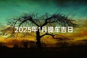 2025年1月提车吉日精选推荐