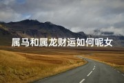 属马和属龙财运如何呢女生-属马属龙女生财运如何：揭秘财运密码