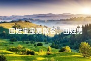 田姓宝宝男取名、田姓男孩取名最高分