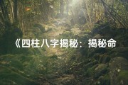 《四柱八字揭秘：揭秘命理命运的秘密密码》