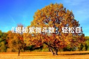 《揭秘紫微斗数：轻松自查命格方法》