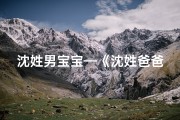 沈姓男宝宝—《沈姓爸爸宝宝取名大全：创意无限，寓意美好》