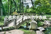 小孩起名不能叫的字有啥(小孩起名字不能两个字了吗)