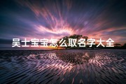 吴士宝宝怎么取名字大全(男孩姓吴有涵养的名字大全)
