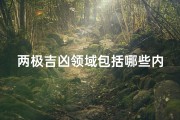两极吉凶领域包括哪些内容;两极吉凶领域包括哪些内容呢