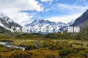 《木命八字缺金水，揭秘取名之道》