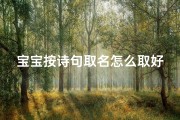宝宝按诗句取名怎么取好听
